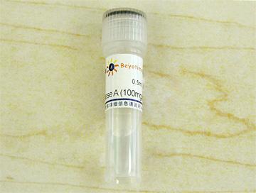 RNase A (100mg/ml, DNase free)